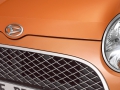 Protective film hood
